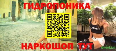 Альфа ПВП Канаш