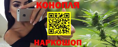 Альфа ПВП Канаш